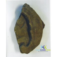 't Spijker of Horst 5
